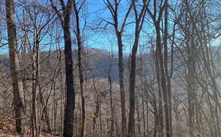 Pictures of Land property located at Wash Freeman Rd, Hendersonville, NC 28792 for sales - image #1