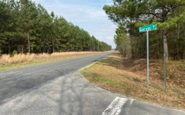 Pictures of Land property located at Lot 14 - Collum Pond Road, Wagener, SC 29164 for sales - image #1