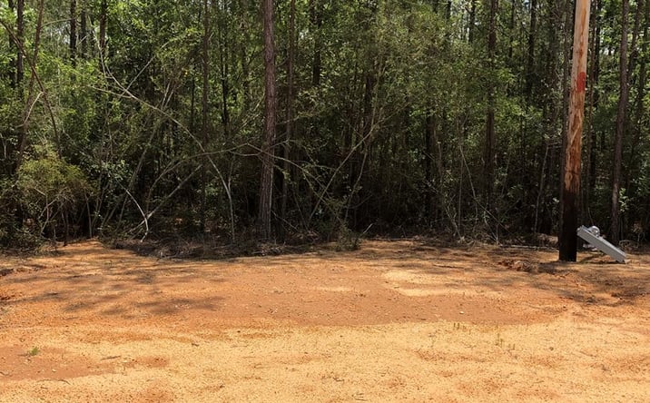 Pictures of Land property located at 88 Bear Road, Carriere, MS 39426 for sales - image #1