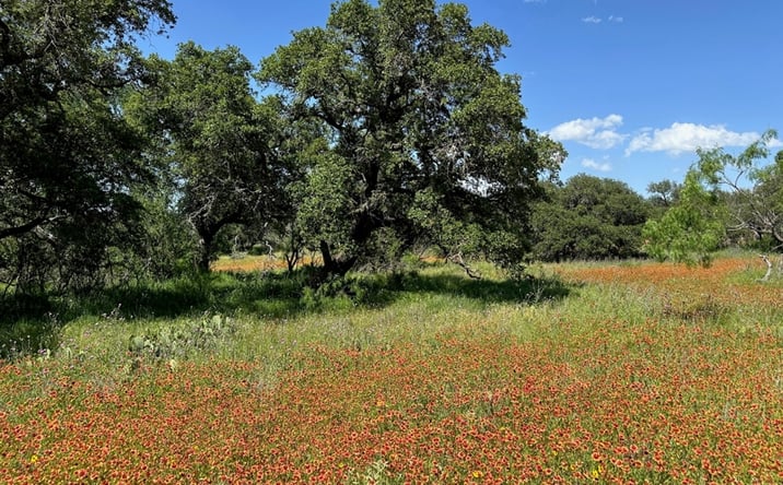 Pictures of Land property located at 1079 Lake Breeze Dr., Brownwood, TX 76801 for sales - image #1