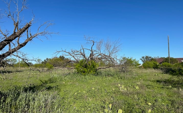 Pictures of Land property located at 740 Downhaul Way, Brownwood, TX 76801 for sales - image #1