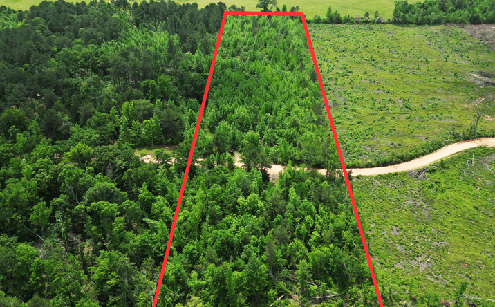 Pictures of Land property located at TBD CR 77, Doddridge, AR 71854 for sales - image #1