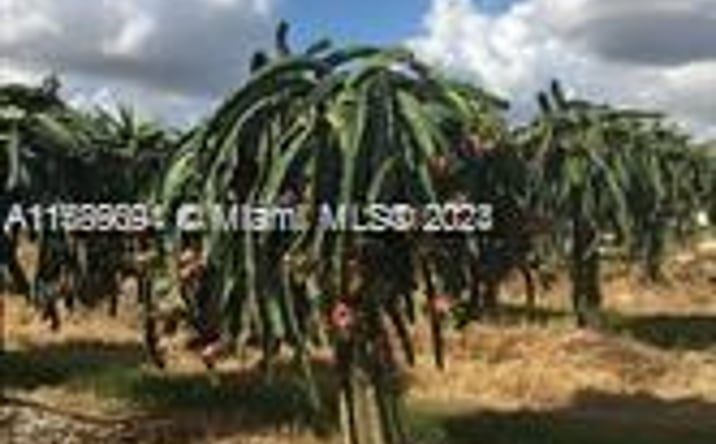 Pictures of Special Purpose property located at 144XX 205 Ave, Miami, FL 33196 for sales - image #1