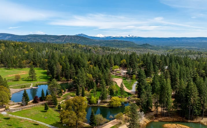 Pictures of Land property located at 14388 Fern Rd, Whitmore, CA 96096 for sales - image #1