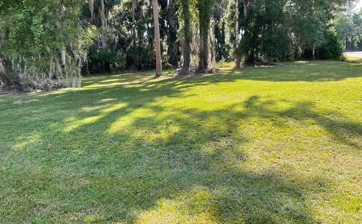 Pictures of Land, Multifamily property located at 1604 Bass Avenue, Seville, FL 32190 for sales - image #1