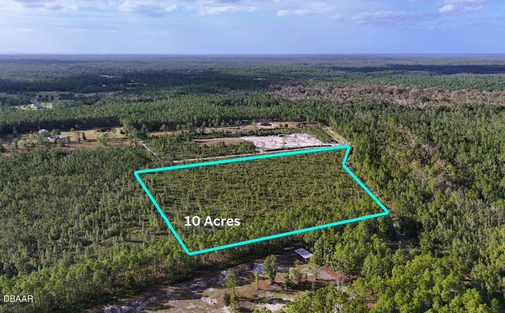 Pictures of Land property located at 30 Chesser Hammock Road, Pierson, FL 32180 for sales - image #1