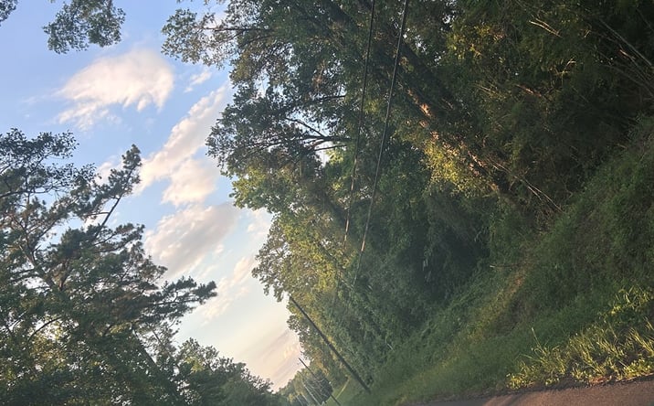 Pictures of Land property located at Lot 165 PT of Lt 365 & 160 Anchor Lake, Carriere, MS 39426 for sales - image #1