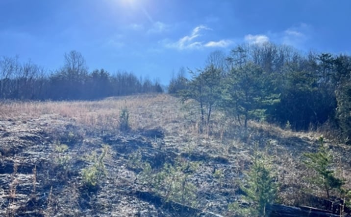 Pictures of Land property located at Tract 2 Bundren Mountain Road, Tazewell, TN 37879 for sales - image #1