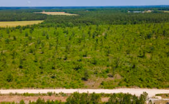 Pictures of Land property located at Lot C Old Shoals Road, Monetta, SC 29105 for sales - image #1