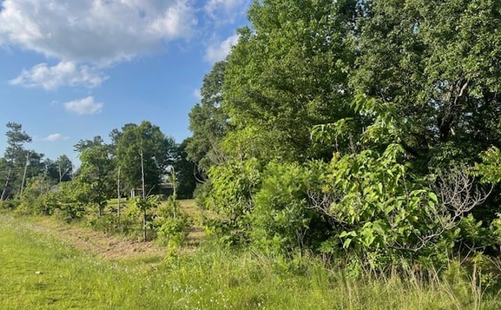 Pictures of Land property located at Tract 2 Tract 2 of 620 George Wise Road, Carriere, MS 39426 for sales - image #1