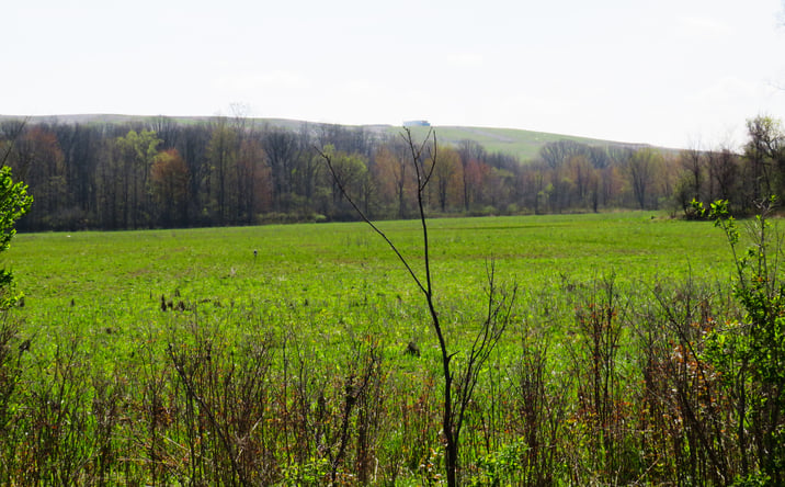 Pictures of Land property located at 0  Gratiot Road, Lenox, MI 48048 for sales - image #1