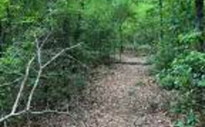Pictures of Land property located at 0 Lyndale Drive, West Columbia, SC 29170 for sales - image #1