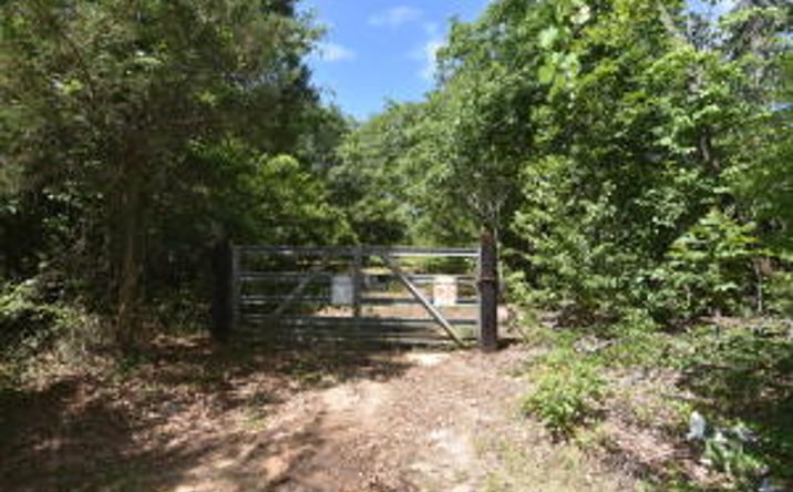 Pictures of Land property located at 181 Buckboard Road, Wagener, SC 29164 for sales - image #1