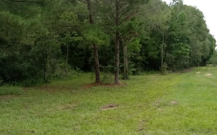 Pictures of Land property located at NHN Compton Ranch Rd, Poplarville, MS 39470 for sales - image #1