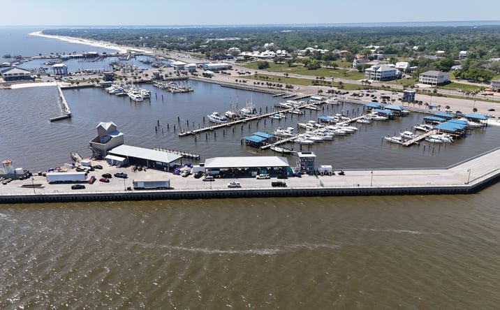 Pictures of Land property located at 295 E Harbor Dr, Pass Christian, MS 39571 for sales - image #1