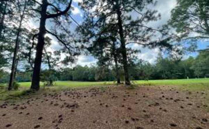 Pictures of Land property located at 0 Cooks Bridge, Aiken, SC 29805 for sales - image #1