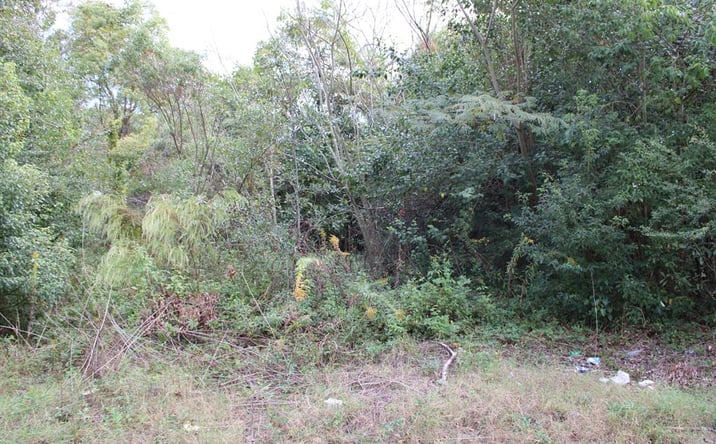 Pictures of Land property located at 408 9th St. NW, Moultrie, GA 31768 for sales - image #1
