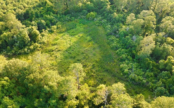 Pictures of Land property located at 0 George Flowers, Norman Park, GA 31771 for sales - image #1