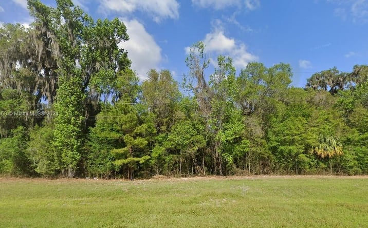 Pictures of Land property located at N Highway 27, Ocala, FL 34482 for sales - image #1