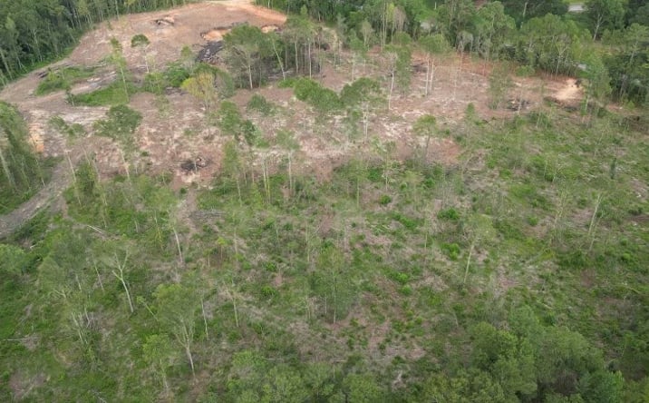 Pictures of Land property located at 11 Old Hwy 26 W, Poplarville, MS 39470 for sales - image #1