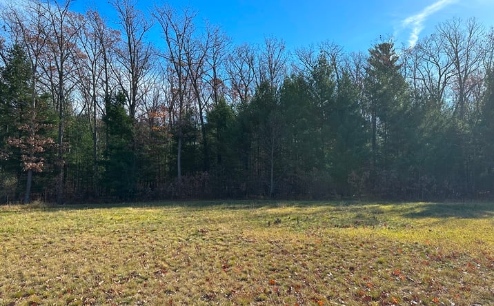 Pictures of Land property located at 1501 N Clare Ave, Harrison, MI 48625 for sales - image #1