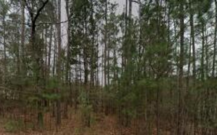 Pictures of Land property located at 106 Springstone Court Court, Aiken, SC 29803 for sales - image #1