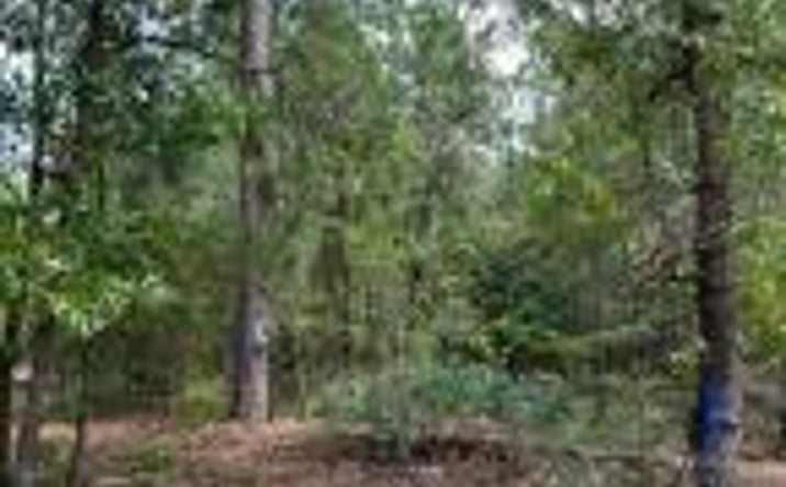 Pictures of Land property located at 0 Dixie Street, Batesburg-Leesville, SC 29006 for sales - image #1