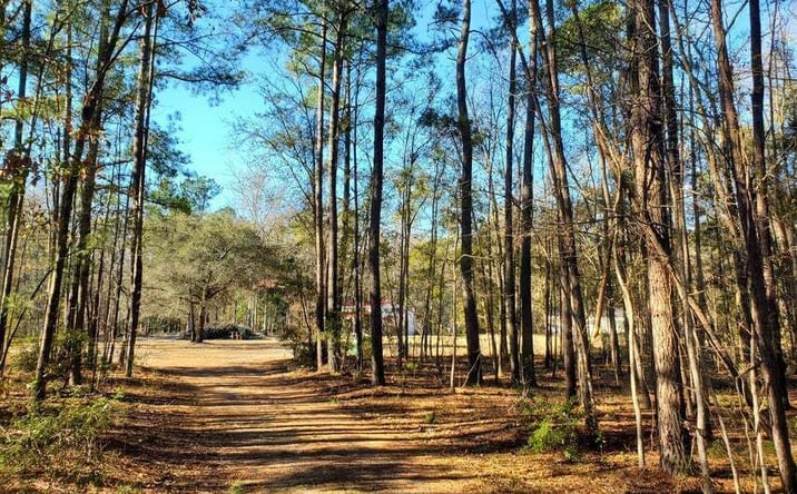 Pictures of Land property located at 7085 Inman Road, Meggett, SC 29449 for sales - image #1