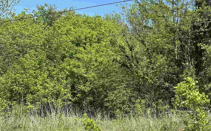 Pictures of Land property located at 1.05 Highway 231, Laceys Spring, AL 35754 for sales - image #1