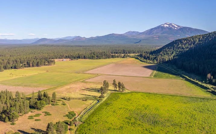 Pictures of Land property located at for sales - image #1