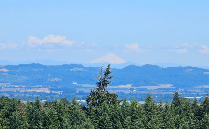 Pictures of Land property located at SW Canyon Rd, Sheridan, OR 97378 for sales - image #1