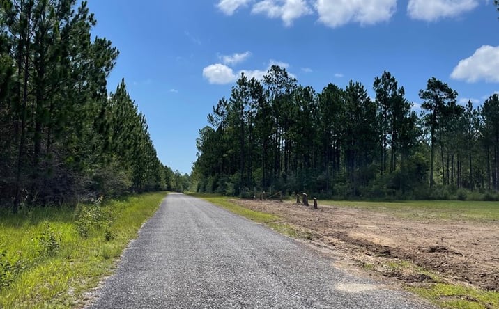Pictures of Land property located at 00 Lot # 1 Ervin Ladner Rd, Poplarville, MS 39470 for sales - image #1