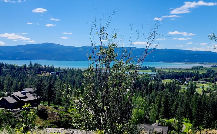 Pictures of Land property located at 486 Hogue Drive, Bigfork, MT 59911 for sales - image #1
