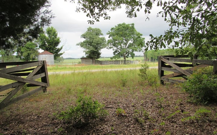 Pictures of Land property located at 00 Rossman Dairy Road, Moultrie, GA 31768 for sales - image #1