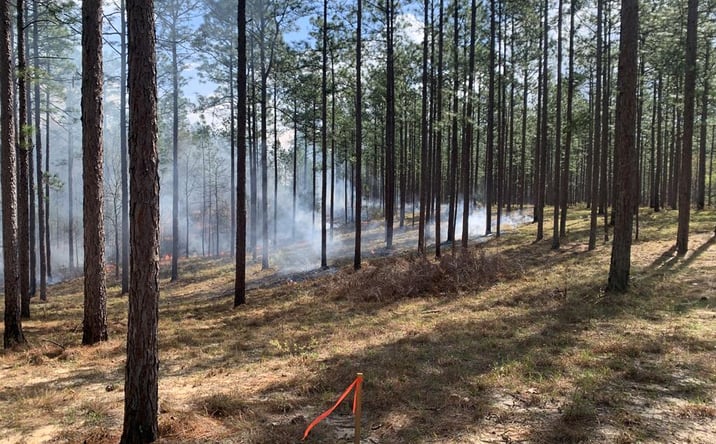 Pictures of Land, Special Purpose property located at N/A Crown Zellerbach Road, Lumberton, MS 39455 for sales - image #1