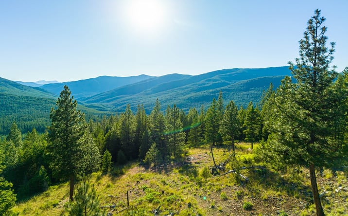 Pictures of Land property located at 467 Wolf Creek Road, Libby, MT 59923 for sales - image #1