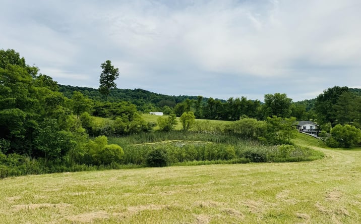 Pictures of Land property located at 37406 New Lima Road, Rutland, OH 45775 for sales - image #1