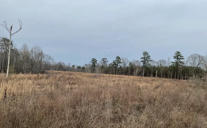 Pictures of Land property located at Florence, Florence, AR 71655 for sales - image #1