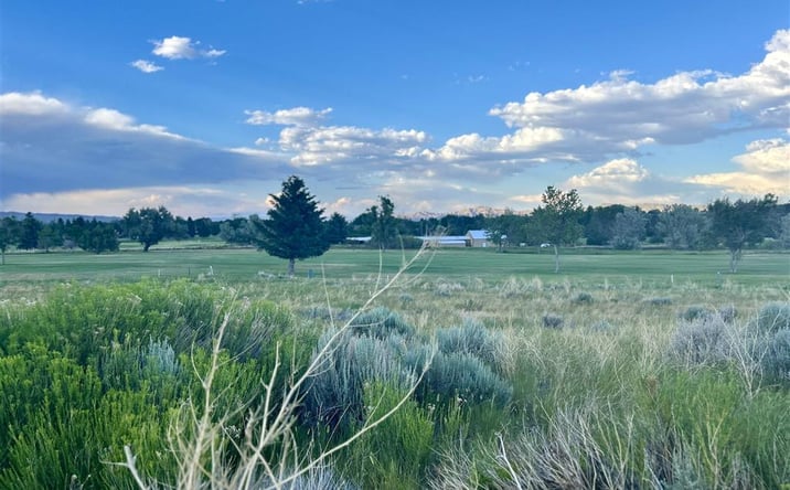 Pictures of Land property located at 714 Olive Glenn Dr, Cody, WY 82414 for sales - image #1
