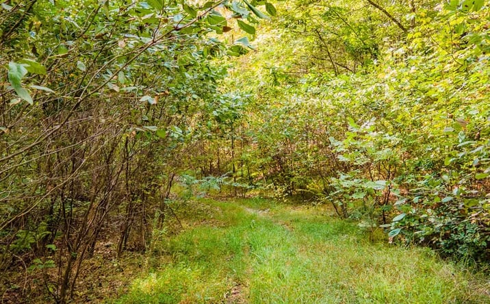 Pictures of Land property located at Bandy South East, Little Rock, AR 72223 for sales - image #1