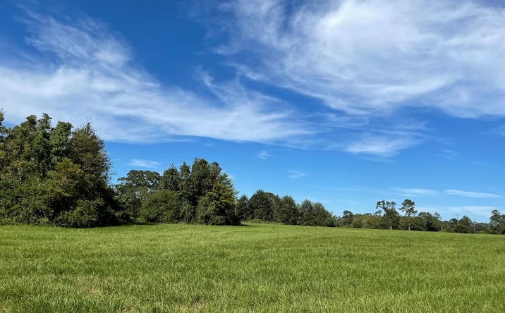 Pictures of Land property located at NHN Ceasar Rd, Carriere, MS 39426 for sales - image #1