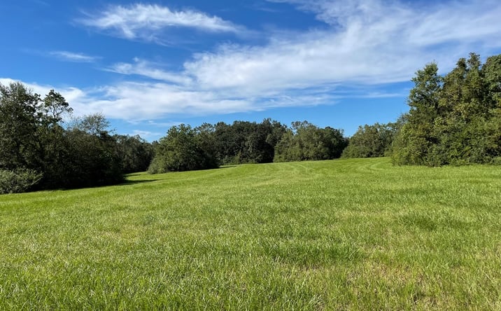 Pictures of Land property located at Lot 2 Ceasar Rd, Carriere, MS 39426 for sales - image #1