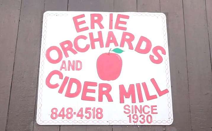 Pictures of Business for Sale, Land property located at 1235 Erie Rd, Erie, MI 48133 for sales - image #1