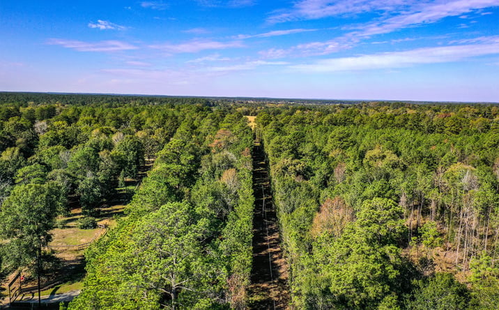 Pictures of Land property located at Tract 2 FM 405, Huntsville, TX 77340 for sales - image #1