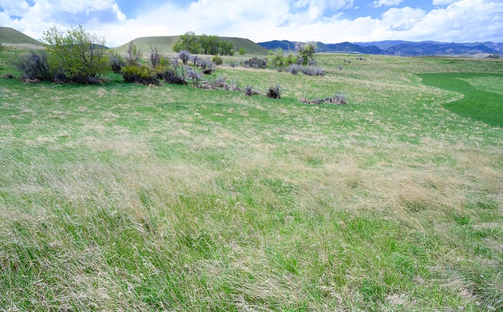 Pictures of Land property located at Horseshoe Mdw Ln, Buffalo, WY 82834 for sales - image #1