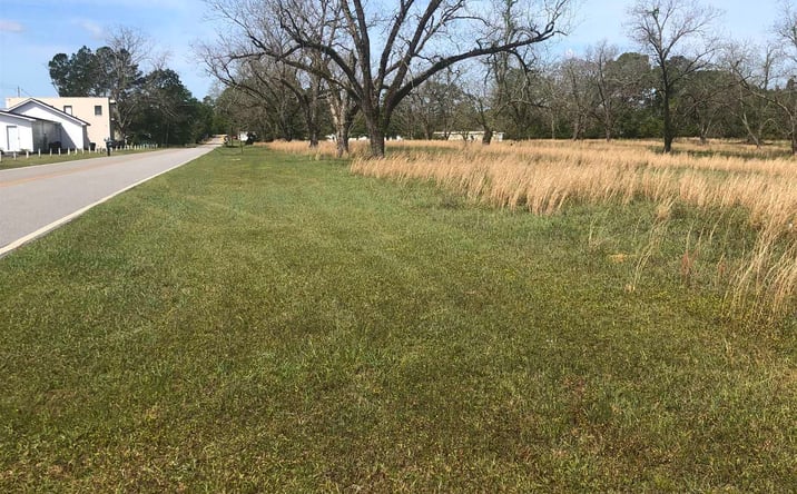 Pictures of Land property located at 0 Old Dublin Road, Claxton, GA 30417 for sales - image #1