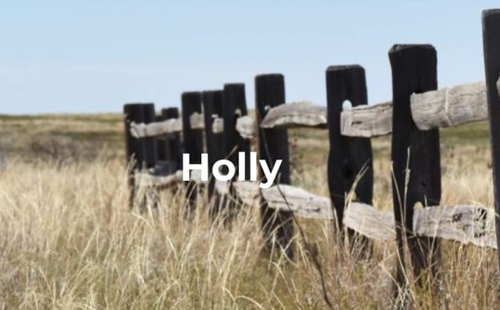 Pictures of Land property located at Heavenly Holly Ranch, Holly, TX 75765 for sales - image #1