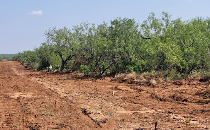 Pictures of Land property located at HWY 83N, Laredo, TX 78045 for sales - image #1