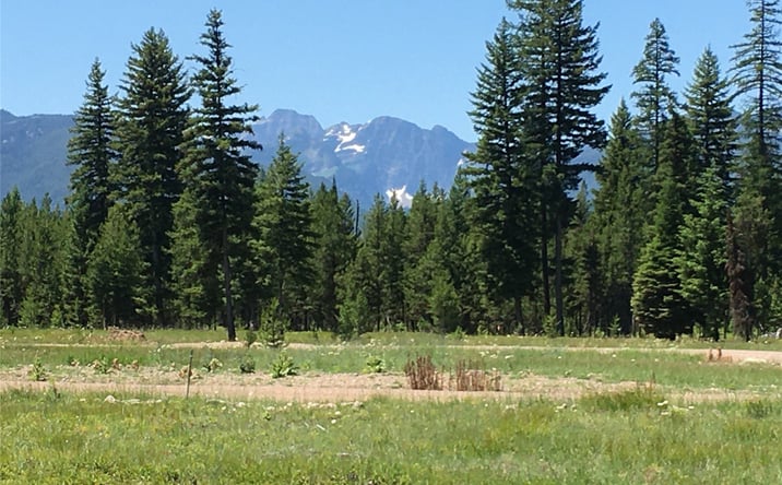 Pictures of Land property located at 173 Mission Vista Lane, Swan Valley, MT 59826 for sales - image #1