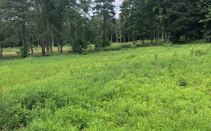 Pictures of Land property located at 276 N Plank Rd, Newburgh, NY 12550 for sales - image #1